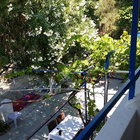 Deniz Yildizi Bed & Breakfast Fethiye Luaran gambar